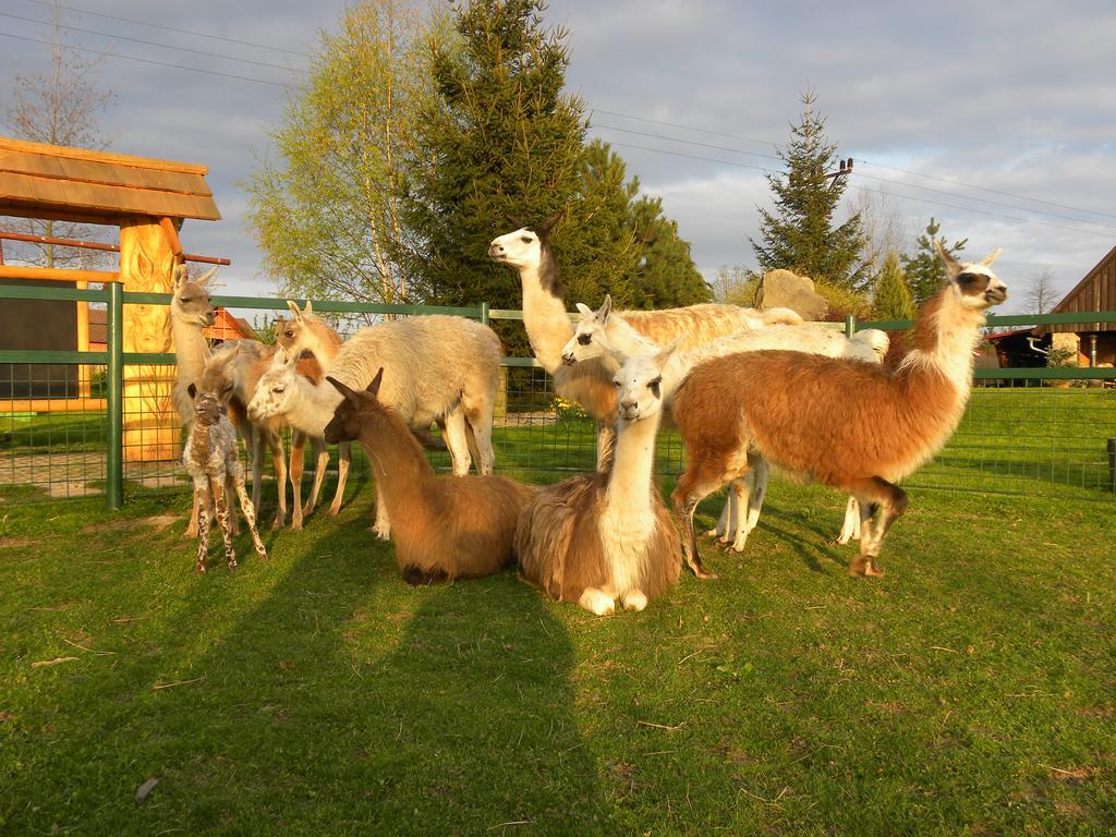 Farma Wenet Villa Broumov Exteriör bild