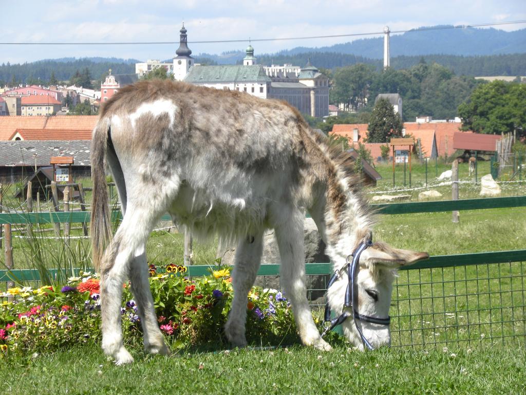 Farma Wenet Villa Broumov Exteriör bild